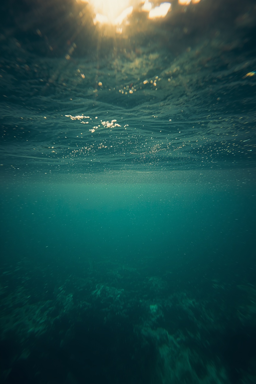 Buceo
